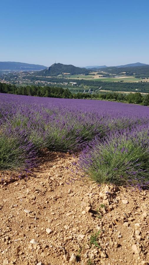 Gite Le Lavandin Volonne Exterior foto